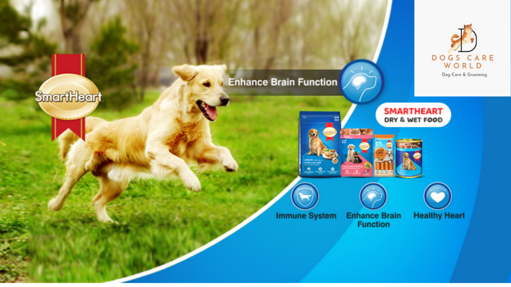 Smartheart Dog Food Review 2022 – Latest Buying Guide, Price, Ingredients