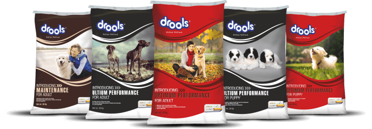 Drools dog food review