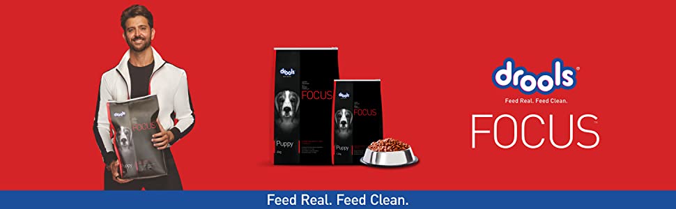 drools focus dog food review