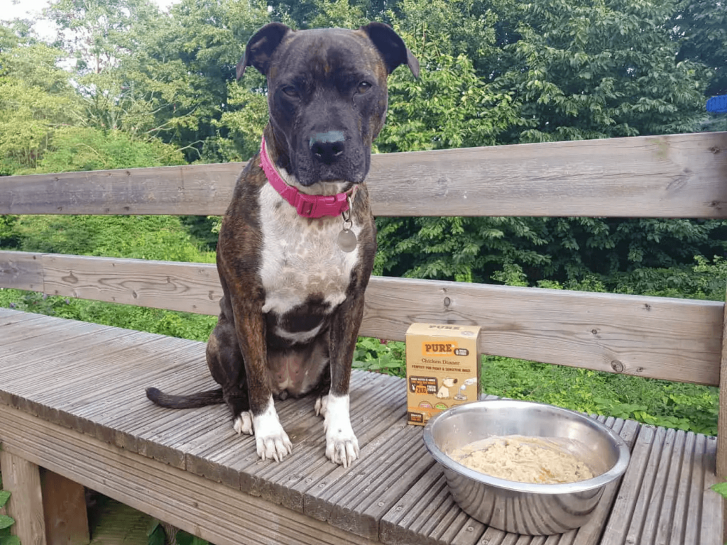 purepet dog food review